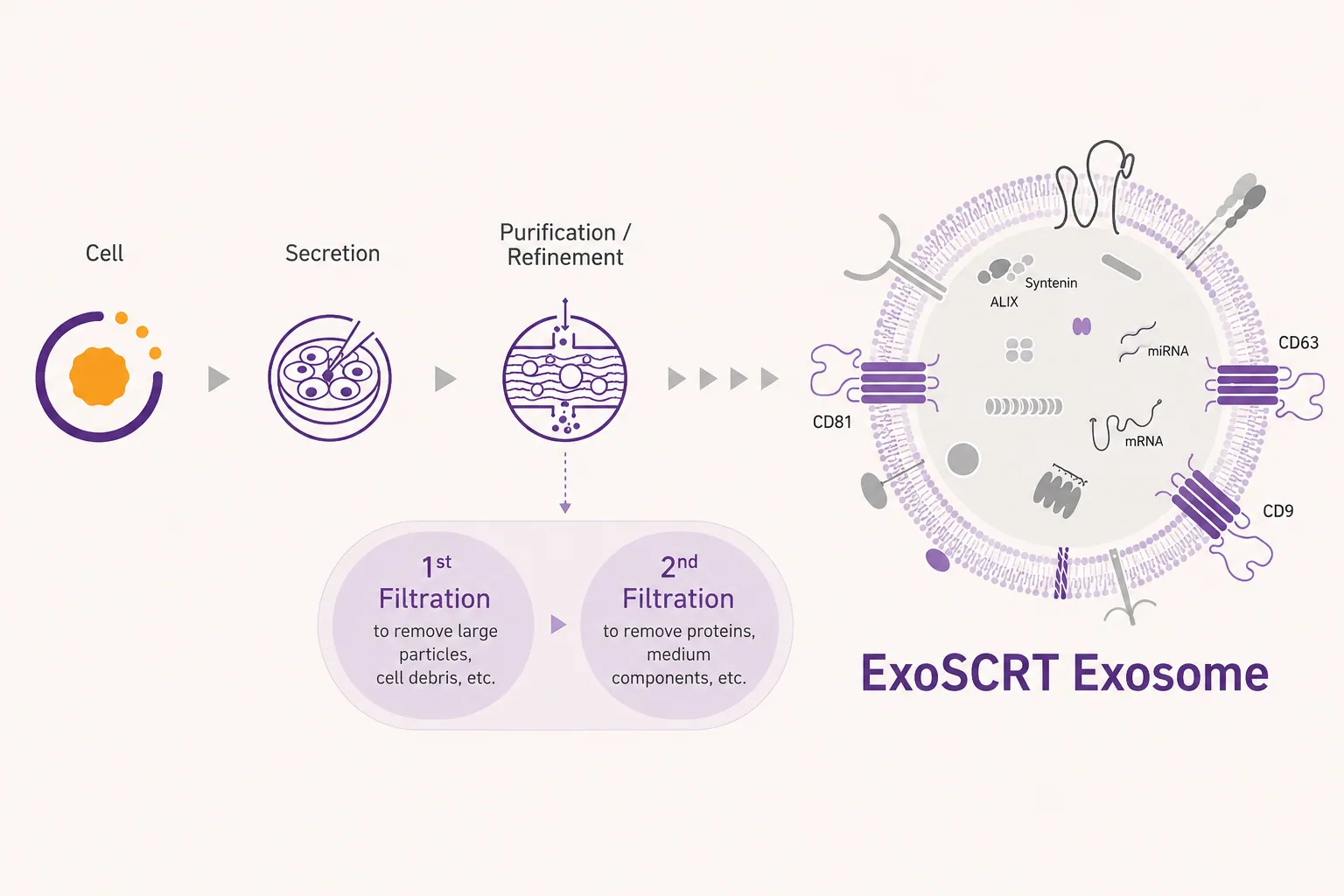 ExoSCRT purification technology