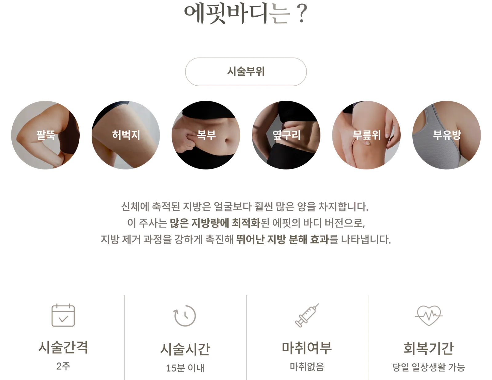 Efit Body treatment Information Panel: treatment Areas: Upper arms, thighs, abdomen, flanks, above the knees, accessory breasts; Efit's body version tailored for large amounts of fat; treatment Interval: 2 weeks; treatment Time: Within 15 minutes; No Anesthesia; Return to daily activities possible on the same day.
