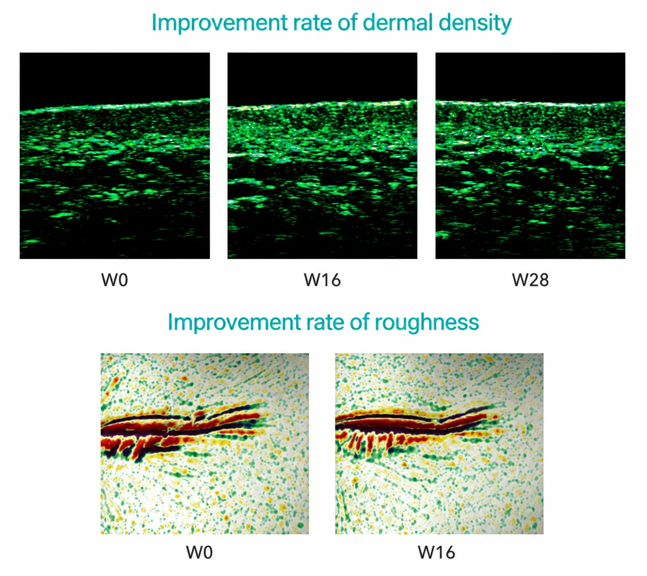 Tissue repair effect