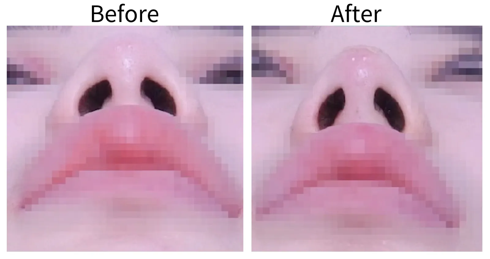 Comparison photo of the tip of the nose viewed from below before and after the LSCO treatment .